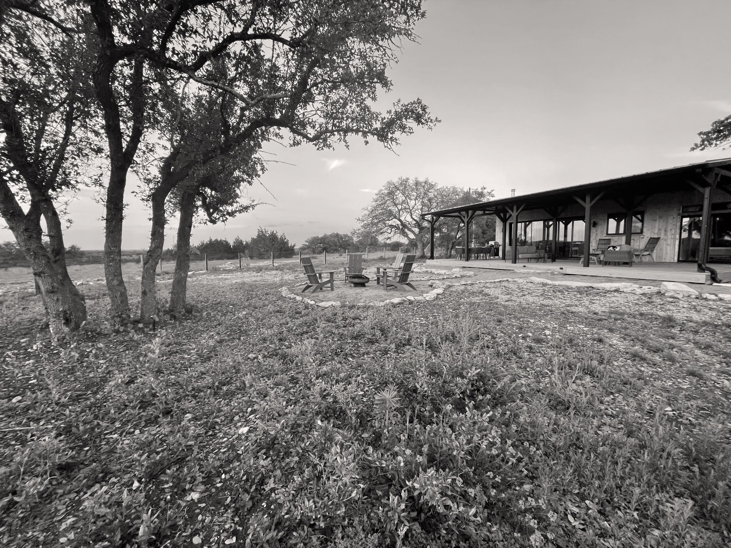 The cabin's covered porch and firepit seen through live oaks, in black and white