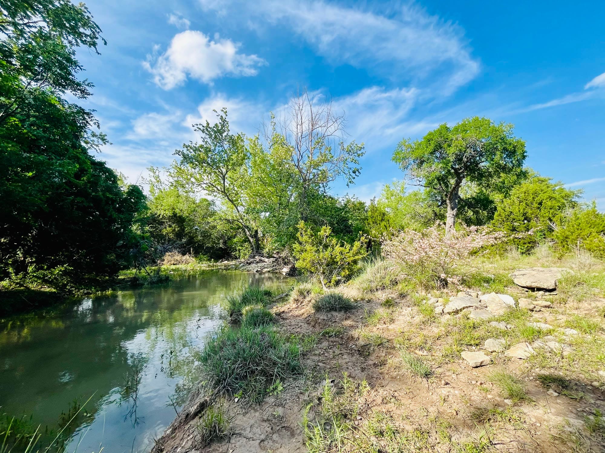 Little Creek in daylight with limestone banks and green trees