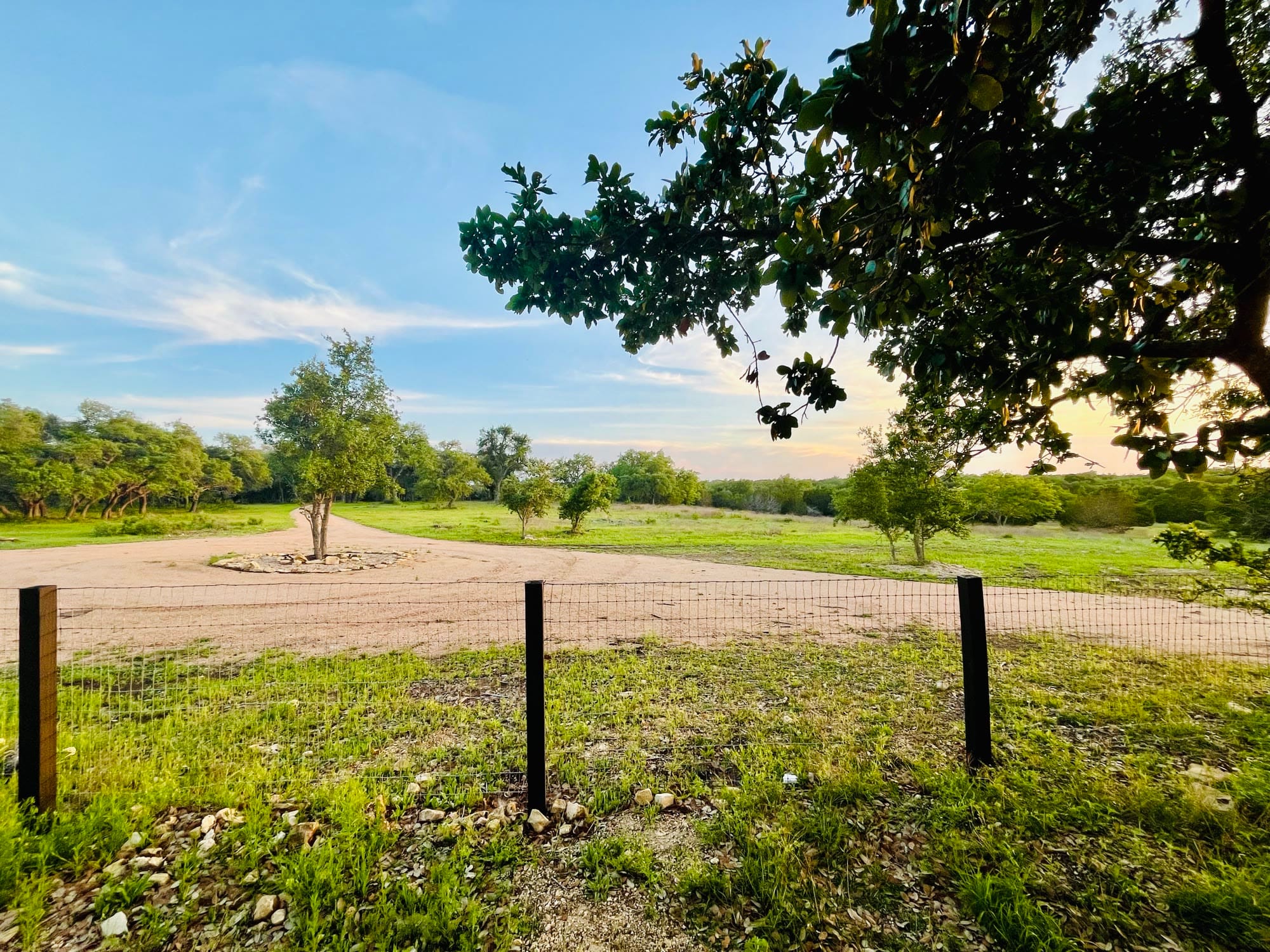 A wire fence line and mown field under a live oak canopy